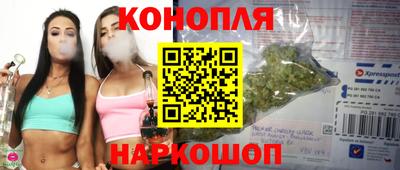 прущие грибы Пушкино
