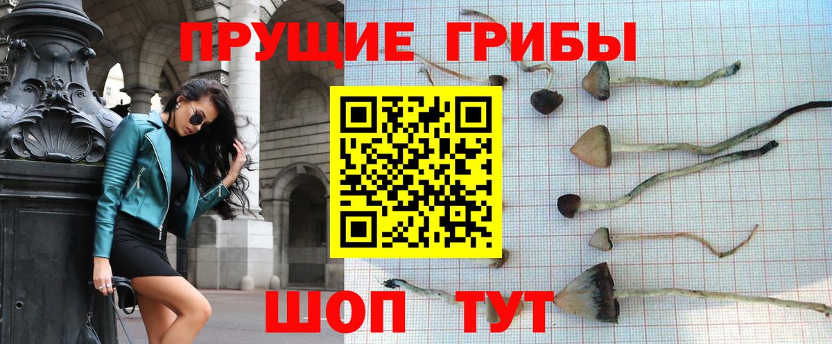 Галлюциногенные грибы Psilocybine cubensis  Вход с VPN  закладки  Псилоцибиновые грибы Psilocybe  Амурск 